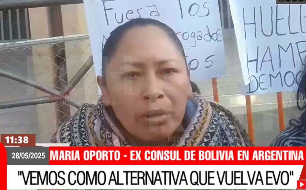 Maria Oporto: Ex constituyente, Ex Senadora por el MAS, Ex consul de Bolivia en Argentina