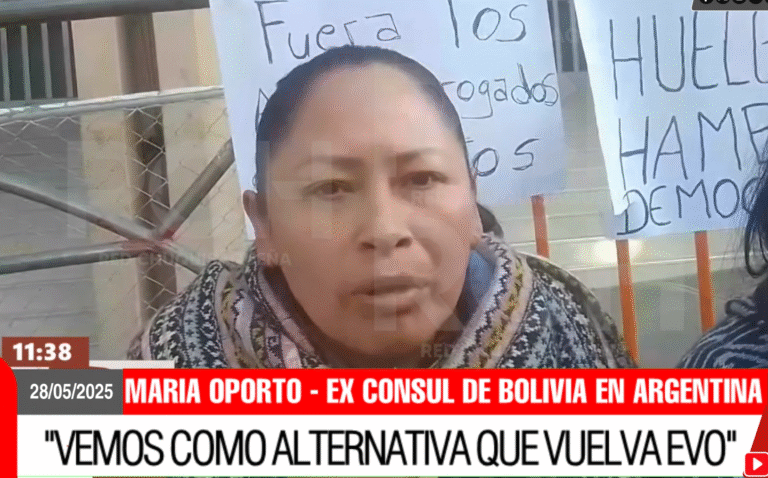 Maria Oporto: Ex constituyente, Ex Senadora por el MAS, Ex consul de Bolivia en Argentina